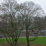 ドイツ路面電車